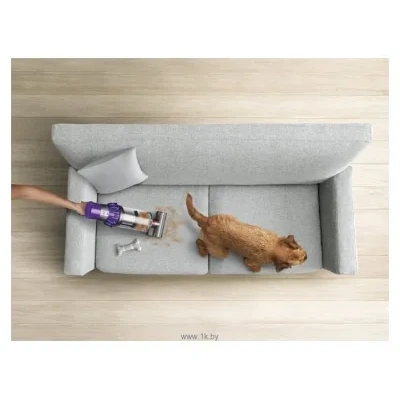 Dyson Cyclone V10 Animal