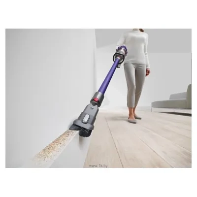 Dyson Cyclone V10 Animal