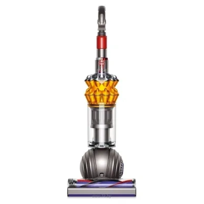 Dyson Small Ball Multifloor