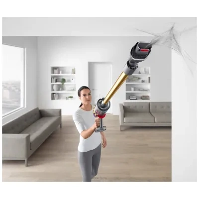 Dyson V11 Absolute Extra Pro (zolotoy)