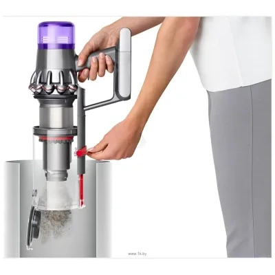 Dyson V11 Animal Extra