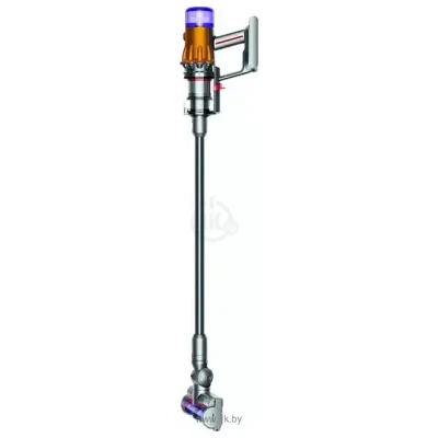 Dyson V12 Detect Slim Absolute 448884-01