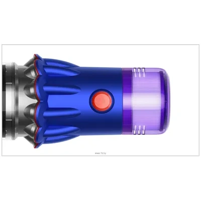 Dyson V12 Detect Slim Fluffy