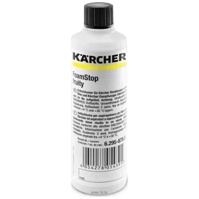 Karcher 6.295-875.0